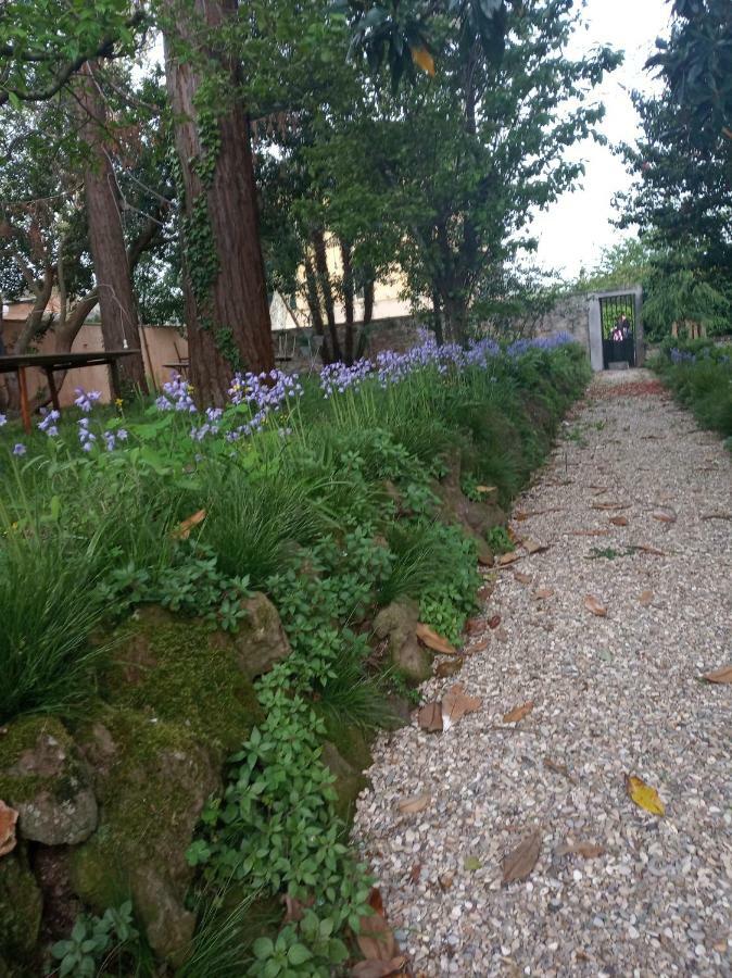 B&B Villa Gualterio Bolsena Kültér fotó
